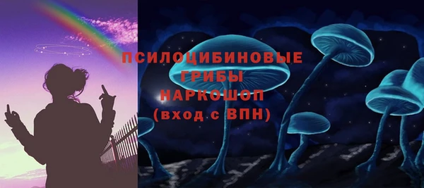 PSILOCYBIN Белокуриха